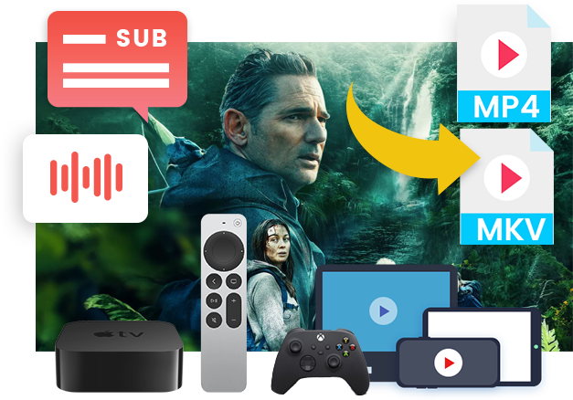 Canal+ Downloader features