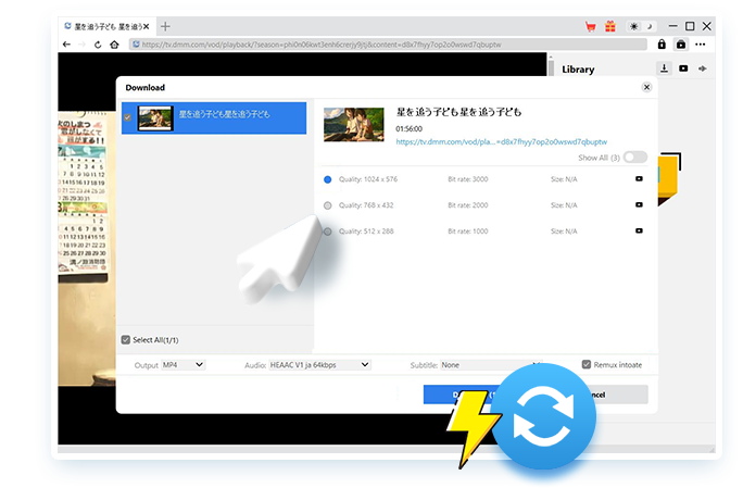 DMM Downloader Step3