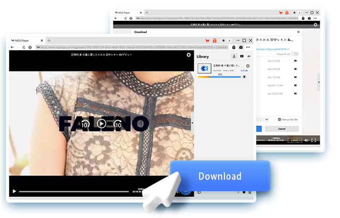 MGS Downloader Step4