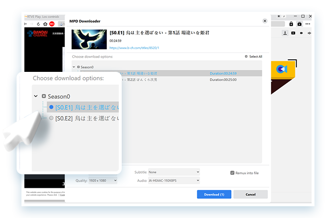 MPD Downloader Step3