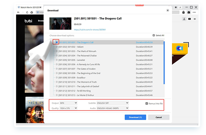 Tubi Downloader Step3