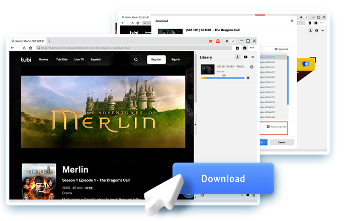 Tubi Downloader Step4