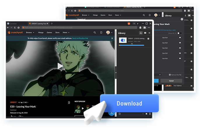 Crunchyroll Downloader Step4