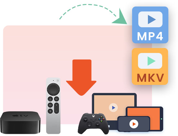 Danime Downloader features